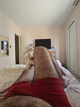 MysterBearMG webcam