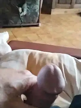 Philebranleur live cam on StripChat