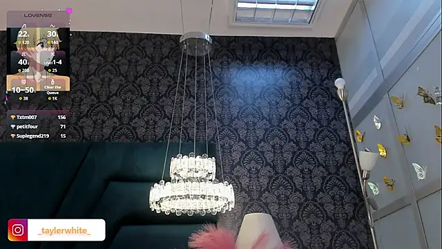 TaylerWhite webcam
