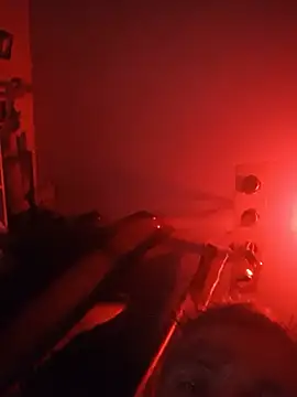destroassbig2 webcam