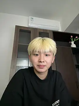 Cnmp6666 webcam