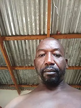 WiseDi Live Web Cam Show