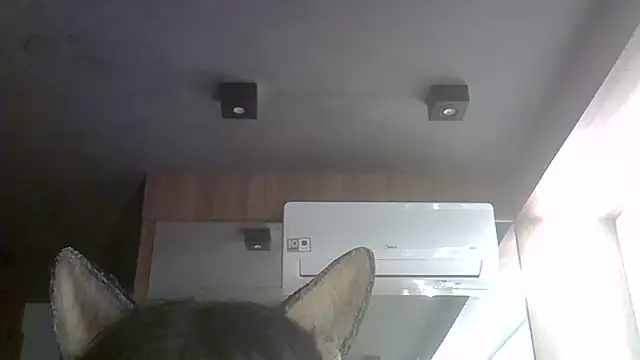 SkinnyKitten webcam