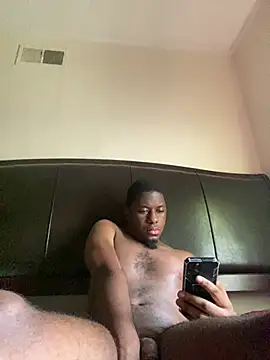 ThickDic28 webcam