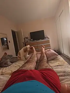 MysterBearMG webcam