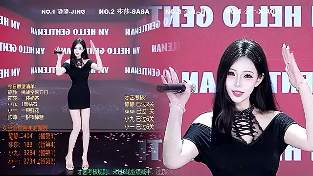 TY-002 webcam
