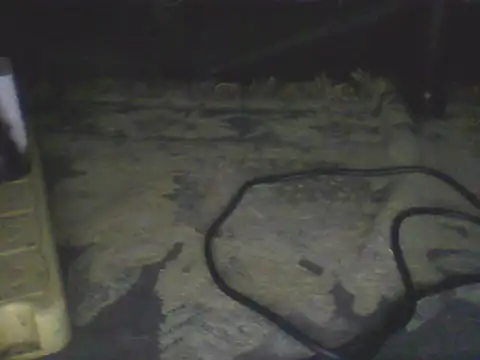 Bebita-zmp webcam
