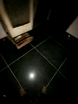 Dk_2210_Dk webcam