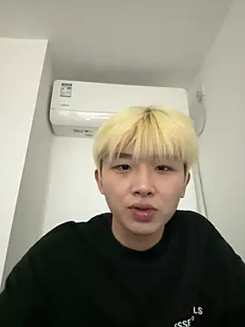Cnmp6666 webcam