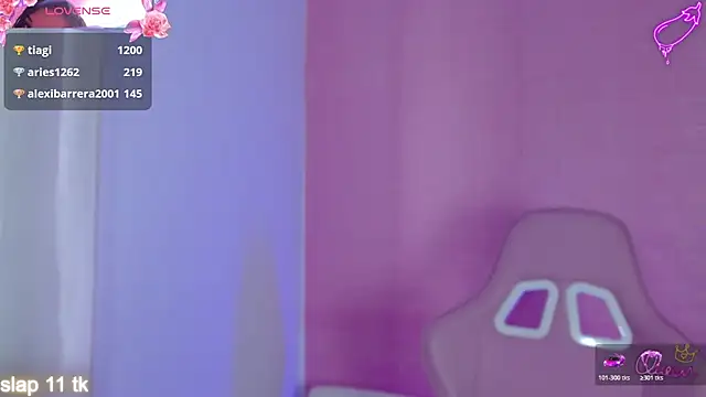 _hooly webcam