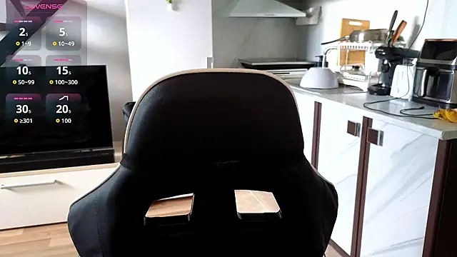 RyanStorm_ webcam