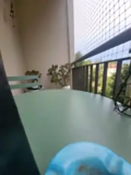 panda_06200 webcam