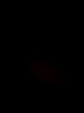 Dk_2210_Dk webcam