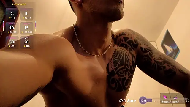 Joylopez_fit webcam