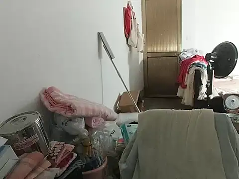 RebelAura webcam