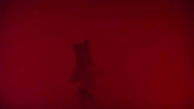 Believe-girl webcam