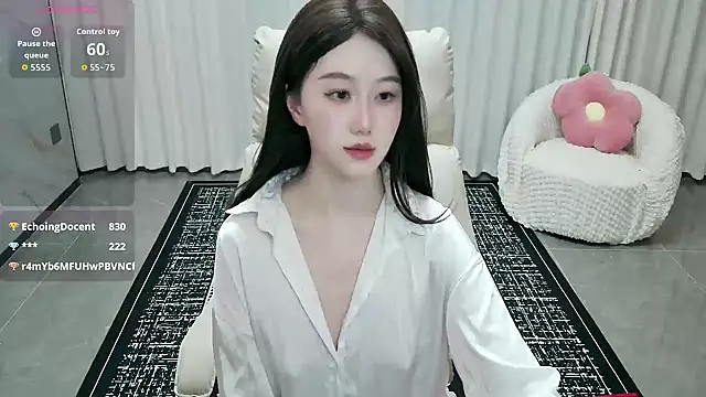 LUNYI-CC webcam