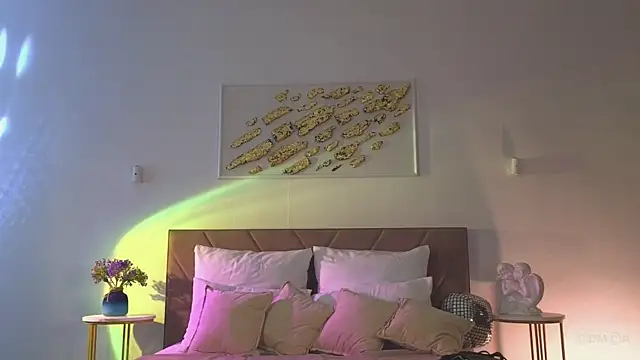 Vi_fi webcam