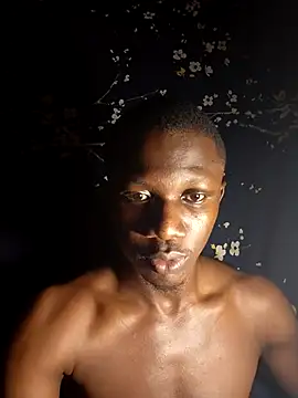 getmecum webcam