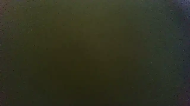 sunr1sa webcam