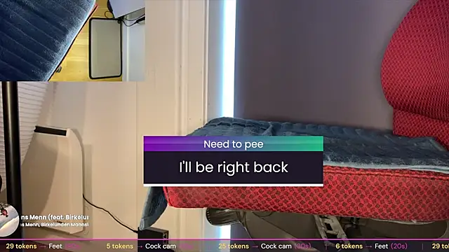 brsrkr webcam