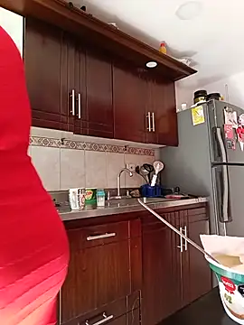 kyliewilso webcam