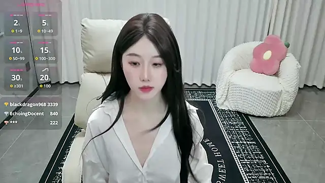 LUNYI-CC webcam