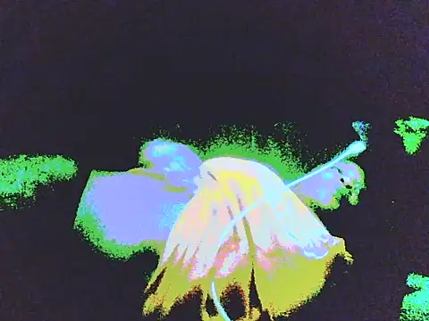 DripDiva webcam