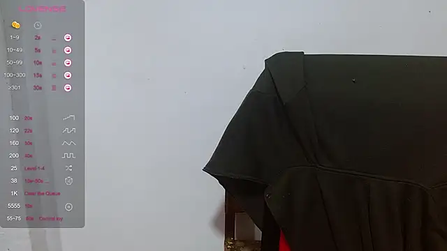 nalasky webcam