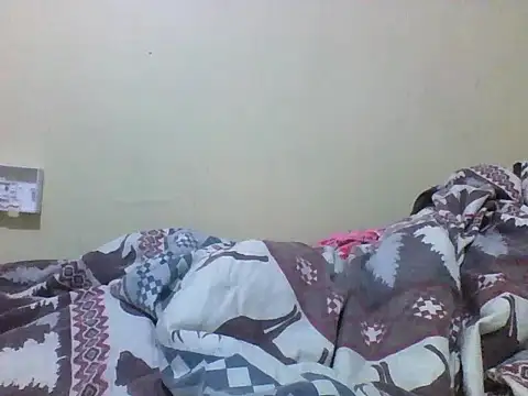 Offchart webcam