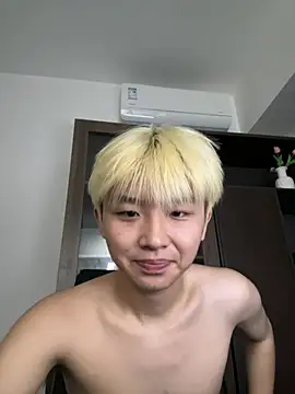 Cnmp6666 webcam