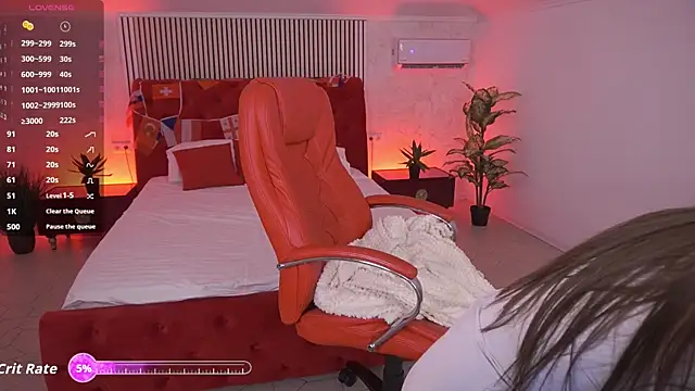 MadissonSoft webcam