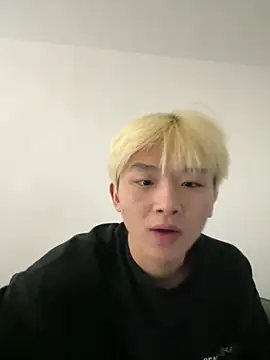 Cnmp6666 webcam