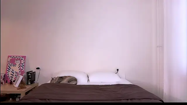 Milky___Way webcam