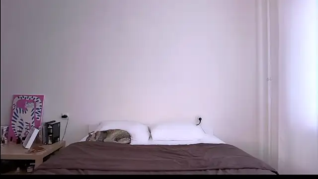 Milky___Way webcam