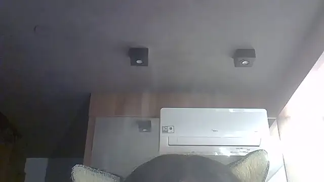 SkinnyKitten webcam