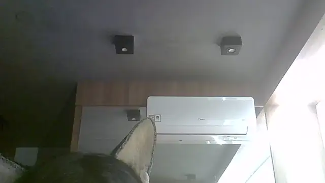 SkinnyKitten webcam