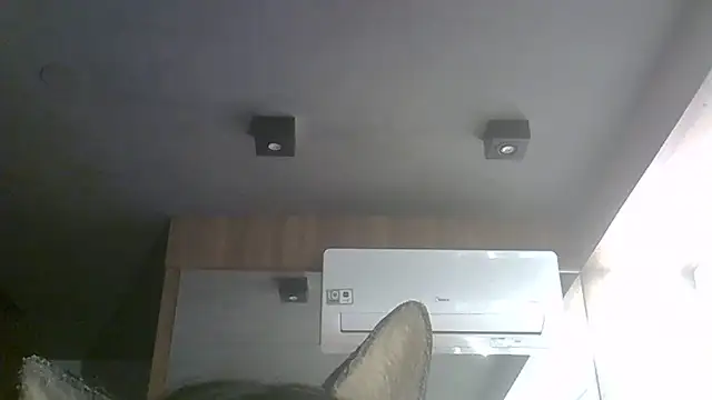 SkinnyKitten webcam