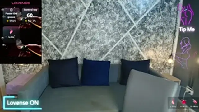 Liaroberts1 webcam