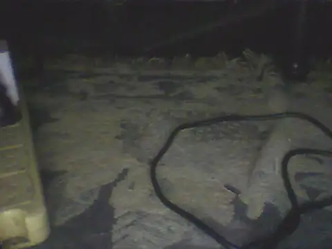 Bebita-zmp webcam