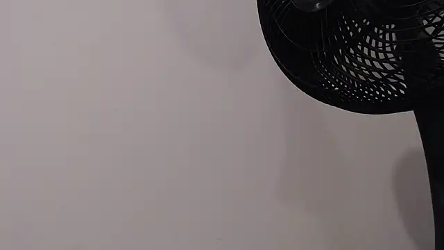 Phillip_Cox webcam