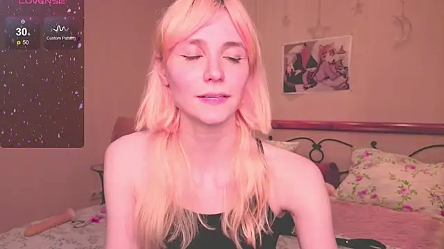 fleximona webcam