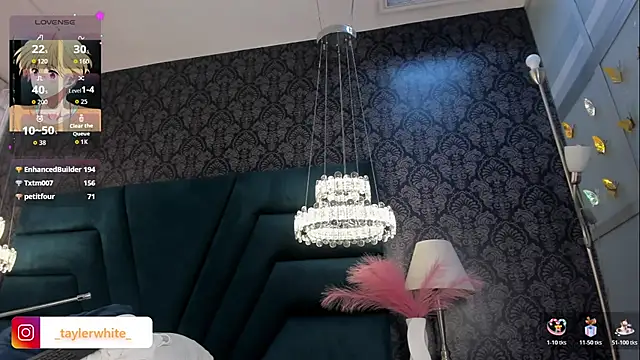 TaylerWhite webcam
