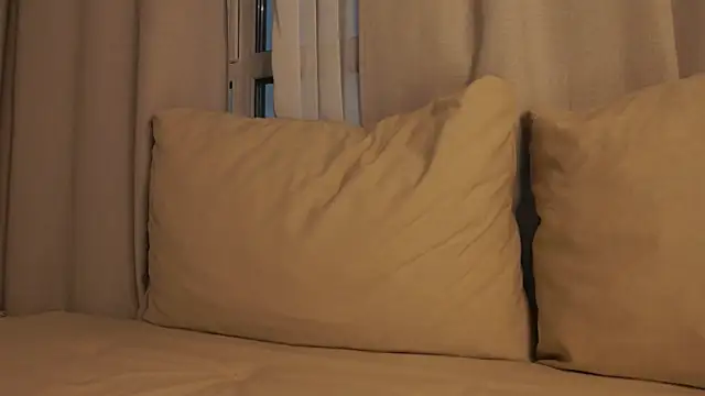 Meowmacito webcam