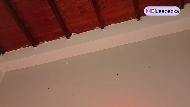 BeckaBlue webcam