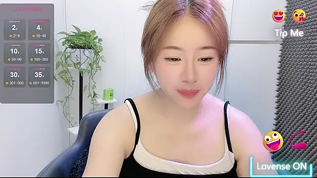 Baixi-01 webcam