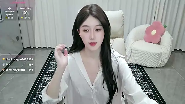 LUNYI-CC webcam
