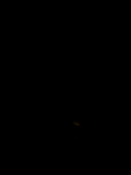 rakkakakakakakakakaak webcam
