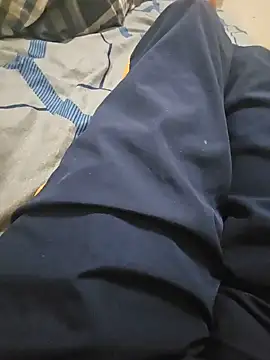 fjzix webcam