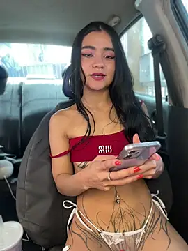 Dakota-fire webcam